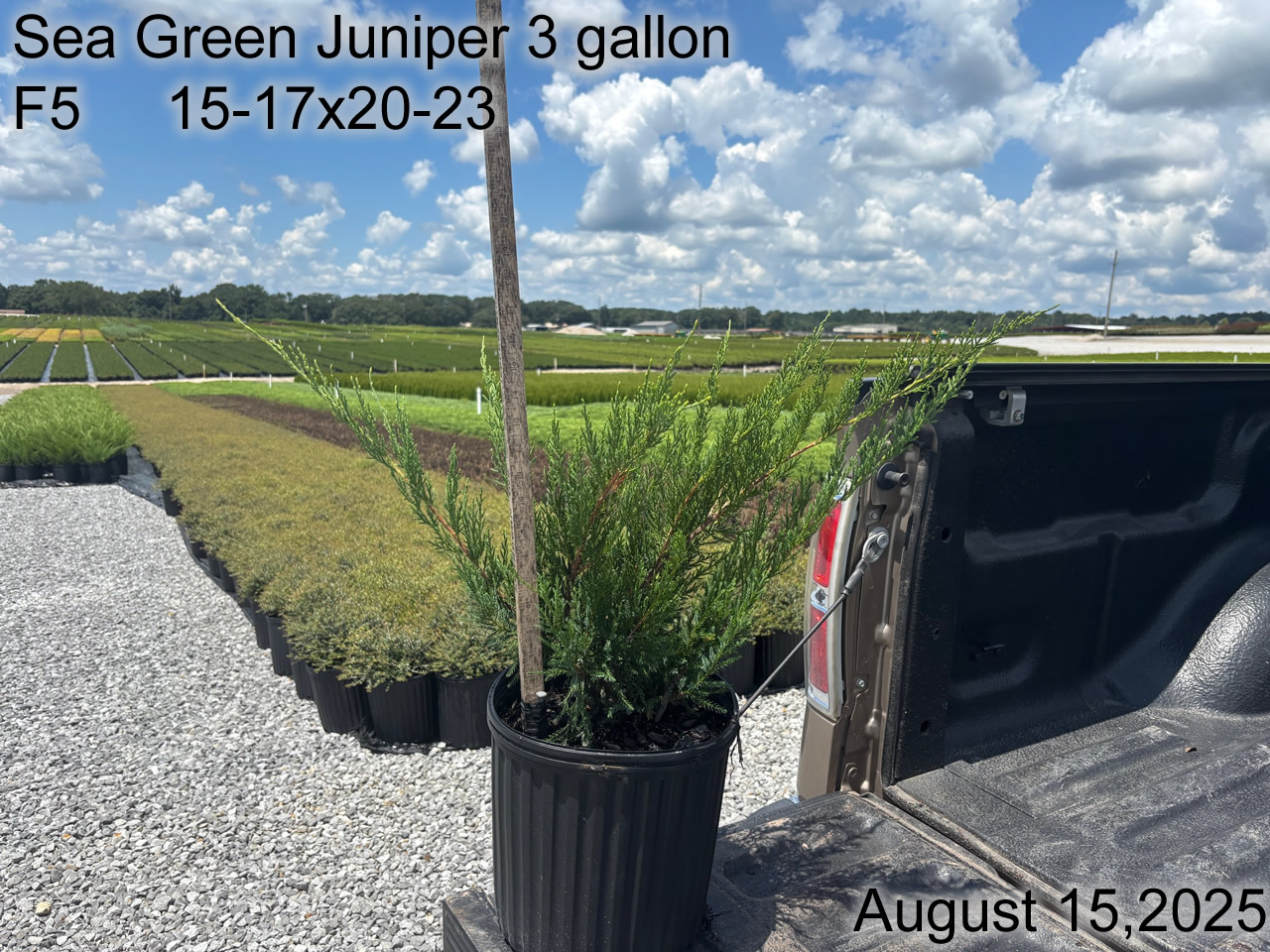 gallery/jsg3 f5 aug25.jpg